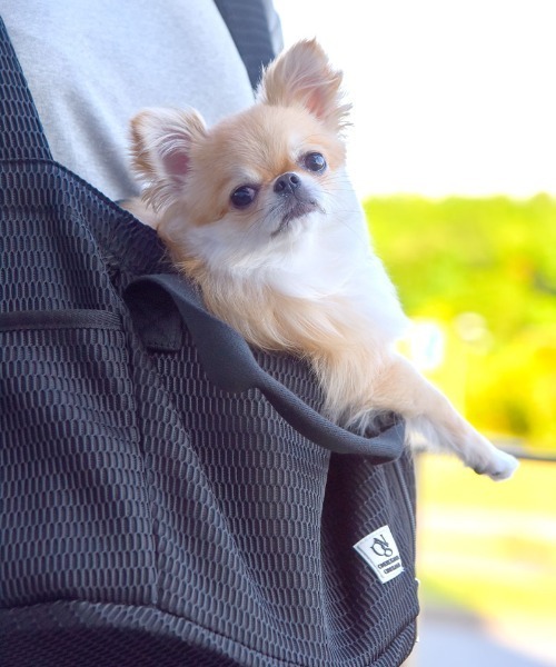 ブラック スリングキャリー 小型犬用 ONEKOSAMA OINUSAMA ペット