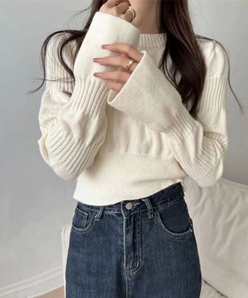 Jayro（ジャイロ）の「ベルスリーブクロップド丈ニットプル