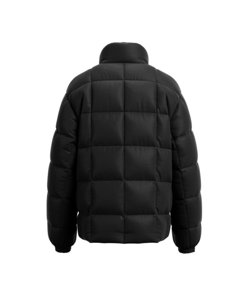 TATRAS（タトラス）の「TATRAS(タトラス) FANNI ファンニ（ダウン