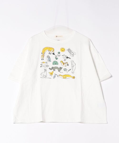 tシャツ (BD)「BARNDOOR」総柄 プリント ドルマンスリーブ Tシャツ レディース BD)【BARNDOOR】総柄 プリント ドルマンスリーブ Tシャツ（T