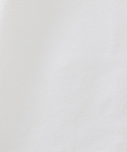 THE SHOP TK （ザ ショップ ティーケー ）の「【ご好評につき再入荷！】PERFECTEE／パーフェクティー 接触冷感／吸水速乾／UVカット／防シワ（Tシャツ/カットソー・メンズ・ブルーグリーン/ブラウン系その他/オフホワイト/チャコールグレー・04/03/02）」の11枚目の写真