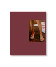 VILLA BOOKS(B ubNX)IN-PASSING by Lisa Sorgini({)