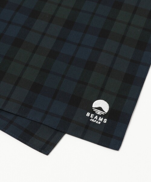 BEAMS JAPAN（ビームス　ジャパン）の「播州織 〈BEAMS JAPAN〉ロゴ刺繍入り コットン ハンカチ（ハンカチ/ハンドタオル・レディース・グリーン/サックスブルー・ONE SIZE）」の2枚目の写真