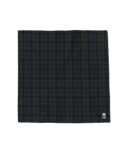 BEAMS JAPAN（ビームス　ジャパン）の「播州織 〈BEAMS JAPAN〉ロゴ刺繍入り コットン ハンカチ（ハンカチ/ハンドタオル・レディース・グリーン/サックスブルー・ONE SIZE）」の3枚目の写真