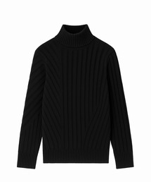 FACTOTUM | 【FACTOTUM】 5G Transform Hi neck(ニット/セーター)