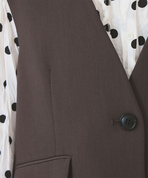 Ray BEAMS（レイビームス）の「2ボタン シングル ノースリーブ ジレ（ベスト・レディース・ブラック/ダークブラウン・0/1）」の14枚目の写真