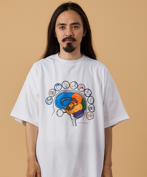SAWINTO(ソイント)の「VARIOUS PRINTS - BRAINATOMY(Tシャツ/カットソー・メンズ・ホワイト・MEDIUM/LARGE/X-LARGE)」の1枚目の写真