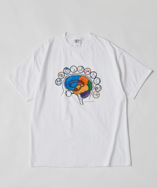 SAWINTO(ソイント)の「VARIOUS PRINTS - BRAINATOMY(Tシャツ/カットソー・メンズ・ホワイト・MEDIUM/LARGE/X-LARGE)」の5枚目の写真