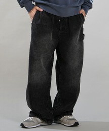 DC/ディーシー ロングパンツ バギーパンツ 26 SUPERWIDE BAGGY PAINTER PANT DPT264034