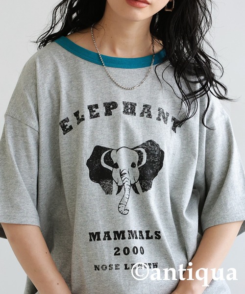 antiqua（アンティカ）の「アニマルカレッジTシャツ（Tシャツ/カットソー・レディース・その他1/その他2/その他3/その他4/その他5・FREE）」の13枚目の写真