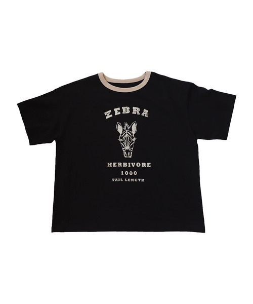antiqua（アンティカ）の「アニマルカレッジTシャツ（Tシャツ/カットソー・レディース・その他1/その他2/その他3/その他4/その他5・FREE）」の17枚目の写真