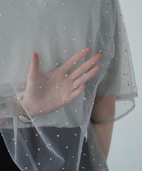 CLANE(クラネ)の「RHINESTONE SHEER TOPS(その他トップス・レディース・ベージュ/ブラック/グレー・2/1)」の13枚目の写真