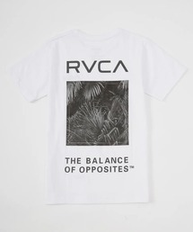 RVCA(���[�J)��RVCA �L�b�Y PALM BOX SS T�V���c �y2025�N�t�ă��f���z/���[�J�L�b�Y�o�b�N�v�����g����T�V���c(T�V���c/�J�b�g�\�[)