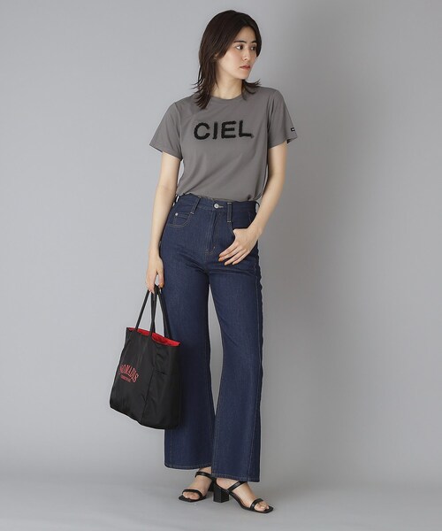DRESSTERIOR(ドレステリア)の「クリア天竺チュールCIELロゴTシャツ(Tシャツ/カットソー・レディース・オフホワイト/ブラック/ダークグレー・34/36/38)」の15枚目の写真