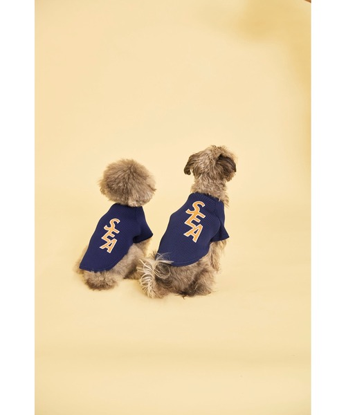 DOG SEA PATCH SWEATER（ペットウェア）｜WIND AND SEA（ウィン