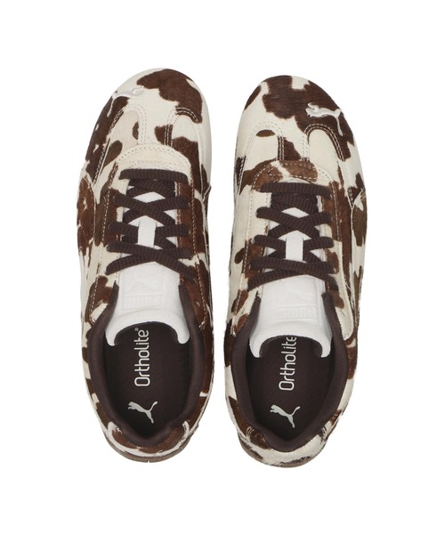 Catloveページ Hartz Cattraction with Silver Vine & Catnip® Koi Dangler