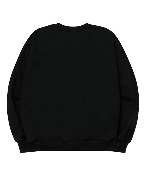 WILDROCK（ワイルドロック）の「WRCK アーチロゴ スウェット_ブラック（スウェット・メンズ・その他・LARGE/MEDIUM/SMALL）」の3枚目の写真