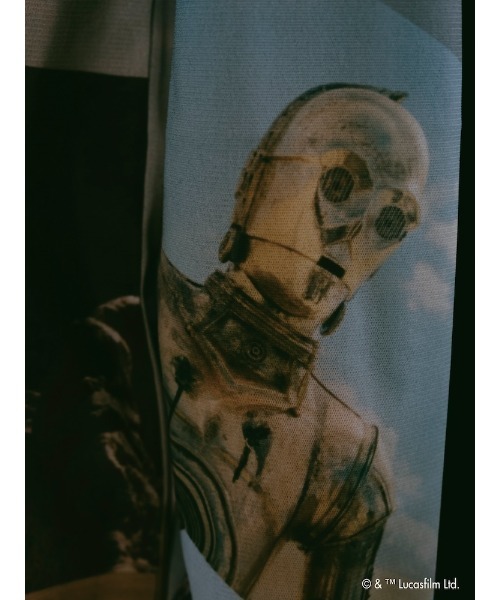 sahara(サハラ)の「STAR WARS / Sheer Top(Tシャツ/カットソー・レディース・その他1/その他2/その他3・FREE)」の17枚目の写真