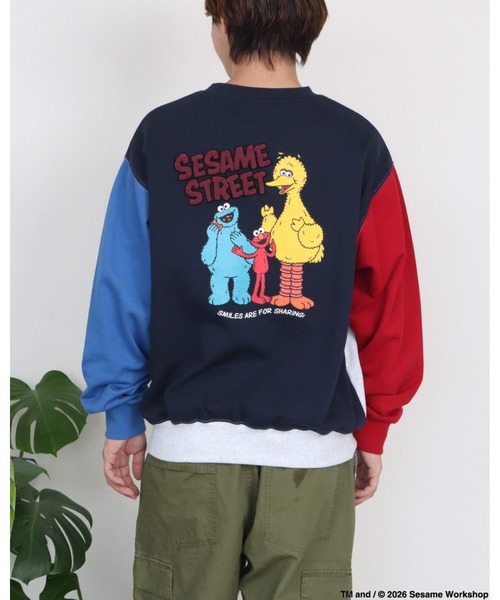 Ha-Li-C STORE(ハリックストア)の「【セサミストリート】カスレプリントスウェット(スウェット・メンズ・オフホワイト/チャコールグレー/A/ダークグリーン・LARGE/MEDIUM/X-LARGE)」の4枚目の写真