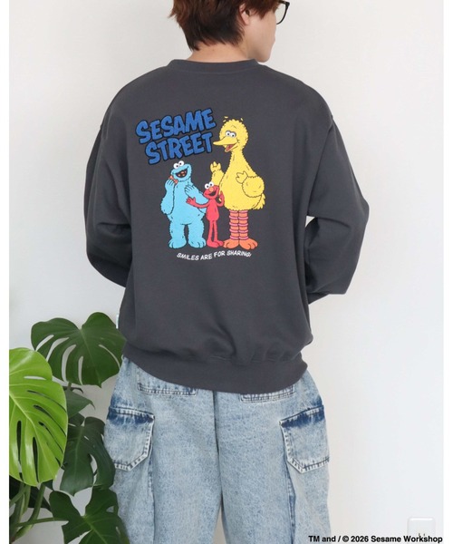 Ha-Li-C STORE(ハリックストア)の「【セサミストリート】カスレプリントスウェット(スウェット・メンズ・オフホワイト/チャコールグレー/A/ダークグリーン・LARGE/MEDIUM/X-LARGE)」の2枚目の写真