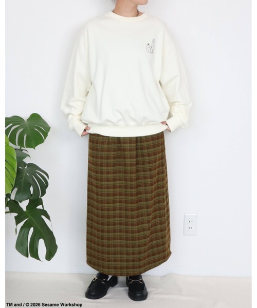 Ha-Li-C STORE(ハリックストア)の「【セサミストリート】カスレプリントスウェット(スウェット・メンズ・オフホワイト/チャコールグレー/A/ダークグリーン・LARGE/MEDIUM/X-LARGE)」の10枚目の写真