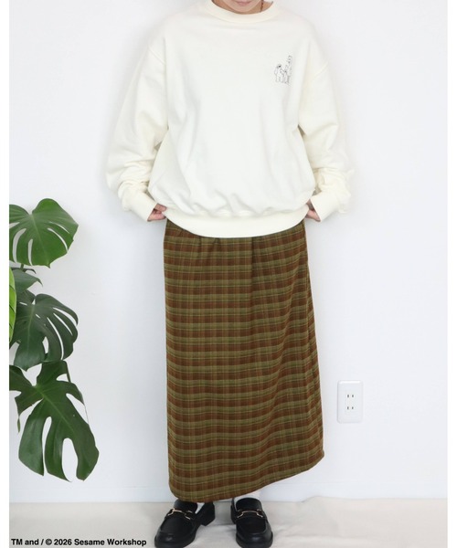 Ha-Li-C STORE(ハリックストア)の「【セサミストリート】カスレプリントスウェット(スウェット・メンズ・オフホワイト/チャコールグレー/A/ダークグリーン・LARGE/MEDIUM/X-LARGE)」の11枚目の写真