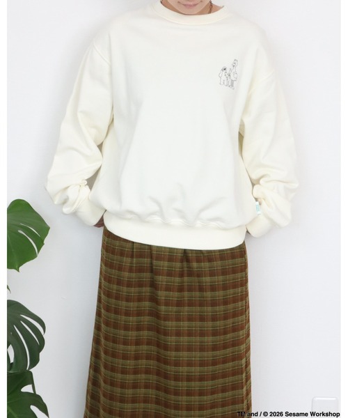 Ha-Li-C STORE(ハリックストア)の「【セサミストリート】カスレプリントスウェット(スウェット・メンズ・オフホワイト/チャコールグレー/A/ダークグリーン・LARGE/MEDIUM/X-LARGE)」の13枚目の写真