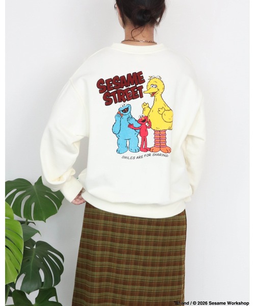 Ha-Li-C STORE(ハリックストア)の「【セサミストリート】カスレプリントスウェット(スウェット・メンズ・オフホワイト/チャコールグレー/A/ダークグリーン・LARGE/MEDIUM/X-LARGE)」の8枚目の写真
