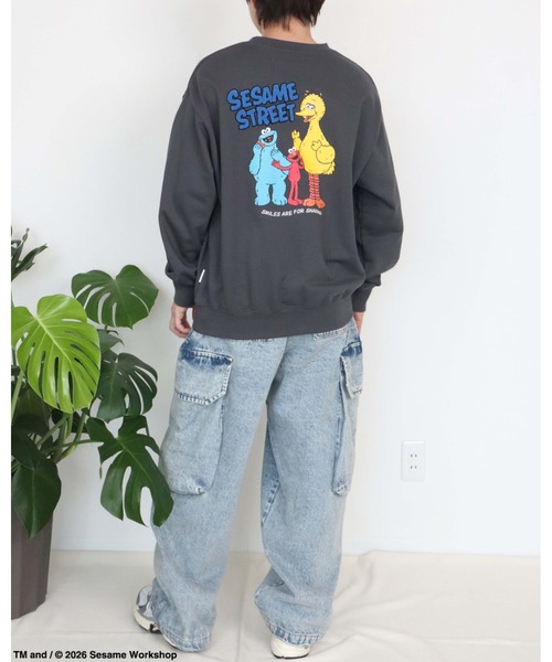 Ha-Li-C STORE(ハリックストア)の「【セサミストリート】カスレプリントスウェット(スウェット・メンズ・オフホワイト/チャコールグレー/A/ダークグリーン・LARGE/MEDIUM/X-LARGE)」の15枚目の写真