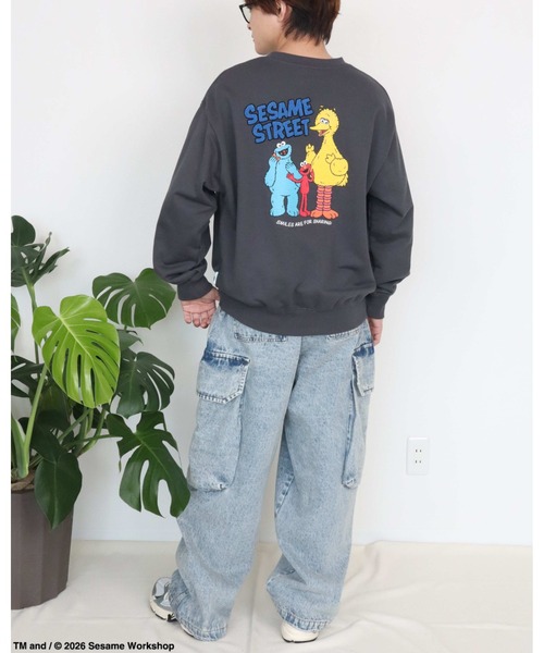 Ha-Li-C STORE(ハリックストア)の「【セサミストリート】カスレプリントスウェット(スウェット・メンズ・オフホワイト/チャコールグレー/A/ダークグリーン・LARGE/MEDIUM/X-LARGE)」の16枚目の写真