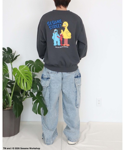 Ha-Li-C STORE(ハリックストア)の「【セサミストリート】カスレプリントスウェット(スウェット・メンズ・オフホワイト/チャコールグレー/A/ダークグリーン・LARGE/MEDIUM/X-LARGE)」の17枚目の写真