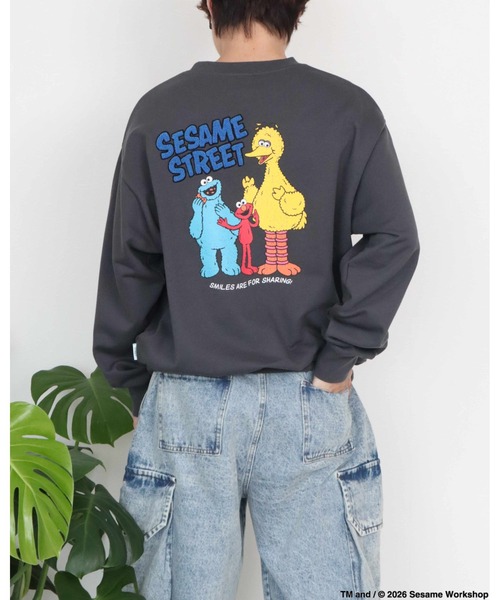 Ha-Li-C STORE(ハリックストア)の「【セサミストリート】カスレプリントスウェット(スウェット・メンズ・オフホワイト/チャコールグレー/A/ダークグリーン・LARGE/MEDIUM/X-LARGE)」の14枚目の写真
