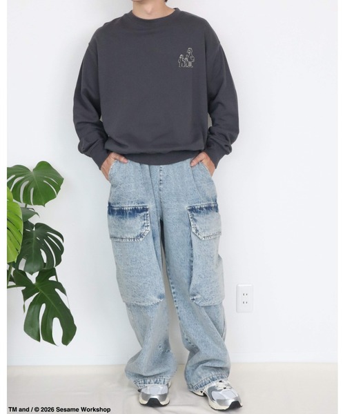 Ha-Li-C STORE(ハリックストア)の「【セサミストリート】カスレプリントスウェット(スウェット・メンズ・オフホワイト/チャコールグレー/A/ダークグリーン・LARGE/MEDIUM/X-LARGE)」の18枚目の写真