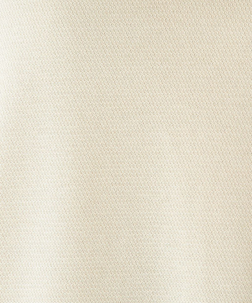 B:MING by BEAMS（ビーミングバイビームス）の「LACOSTE × B:MING by BEAMS / 別注 ヘビーピケ ワンピース 19SS（ワンピース・レディース・ブラック/ベージュ/グリーン系その他・36/34）」の17枚目の写真