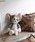 TOM&JERRY�i�g���A���h�W�F���[�j�́u�y�����zNICI/�g���ƃW�F���[ �g�� �N���V�b�N 50�p�i�C���e���A�G�݁j�v�b���̑�1