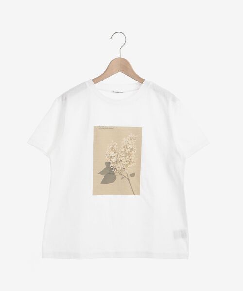 le.coeur blanc（ルクールブラン）の「フラワーフォトプリントTシャツ（Tシャツ/カットソー・レディース・A/B/C・38）」の4枚目の写真