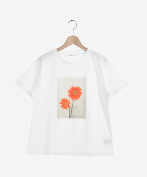le.coeur blanc（ルクールブラン）の「フラワーフォトプリントTシャツ（Tシャツ/カットソー・レディース・A/B/C・38）」の20枚目の写真