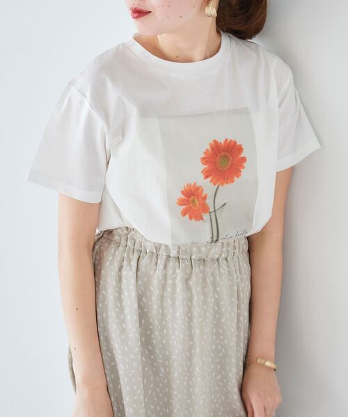 le.coeur blanc（ルクールブラン）の「フラワーフォトプリントTシャツ（Tシャツ/カットソー・レディース・A/B/C・38）」の22枚目の写真