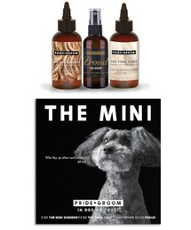 entre square（アントレスクエアー）の「PRIDE+GROOM/THE MINI スターターセット ノンシェダー（その他ペットグッズ）」