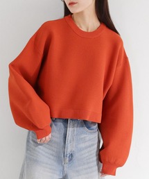 【cheriella】WEB限定スウェットライクガーターショートプルオーバー