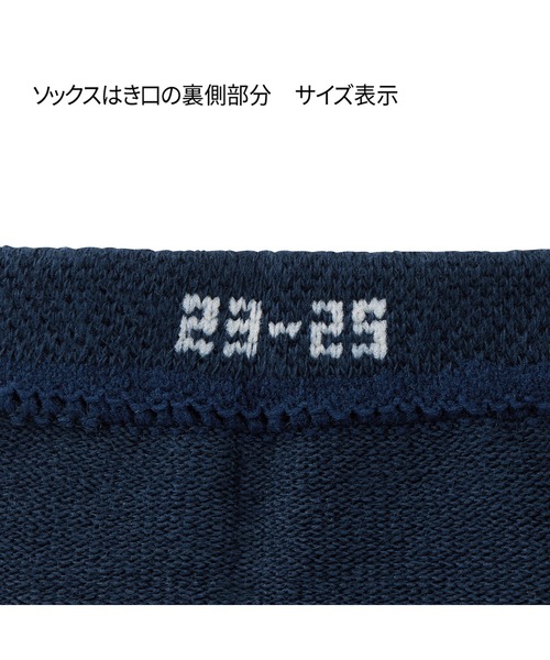 MIKI HOUSE（ミキハウス）の「【WEB限定】ローカットボーダーソックス（大人用）（ソックス/靴下・レディース・ネイビー/グリーン・23-25cm/25-27CM）」の7枚目の写真