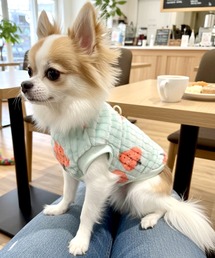 yield（イールド）の「【yield select】ペット服 リードフック付き いちご柄 フリース YW11DJK（ペットウェア）」