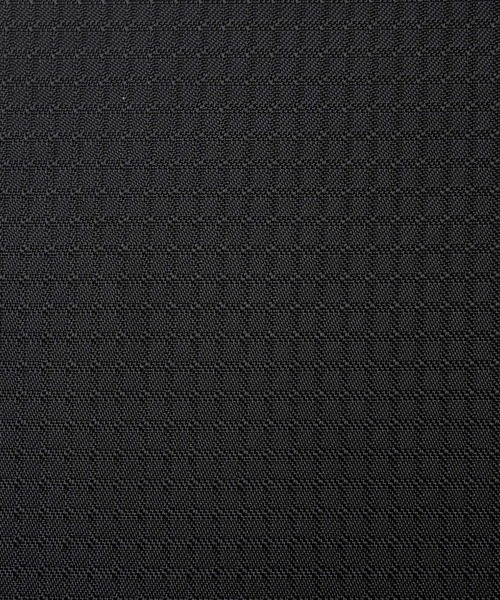 Gramicci（グラミチ）の「GRAMICCI  DAY PACK 25L / グラミチ（バックパック/リュック・レディース・ブラック・FREE）」の4枚目の写真