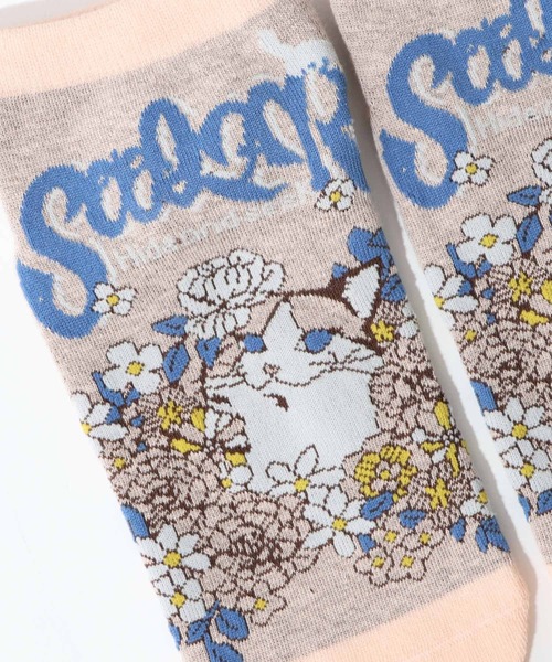 ScoLar(スカラー)の「88J18802:スカラーフロントネコ柄ソックス(ソックス/靴下・レディース・パープル/ピンク・FREE)」の5枚目の写真