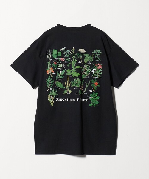 セール】【別注】＜ATLAS SCREEN PRINTING＞PLANTS プリント Tシャツ