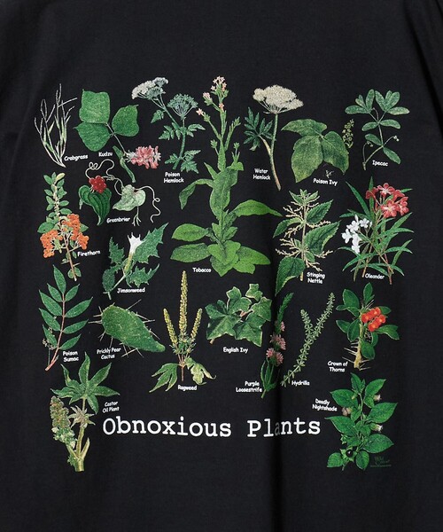 BEAUTY&YOUTH UNITED ARROWS(ビューティーアンドユースユナイテッドアローズ)の「【別注】<ATLAS SCREEN PRINTING>PLANTS プリント Tシャツ(Tシャツ/カットソー・メンズ・ブラック・L/M)」の6枚目の写真