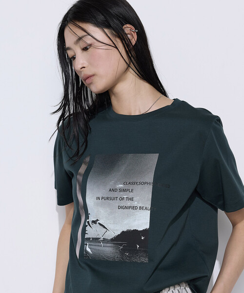 COMME CA(コムサ)の「〔 TALLサイズ 〕 スーピマコットンポンチ Tシャツ(Tシャツ/カットソー・レディース・ネイビー/ホワイト・15号)」の13枚目の写真