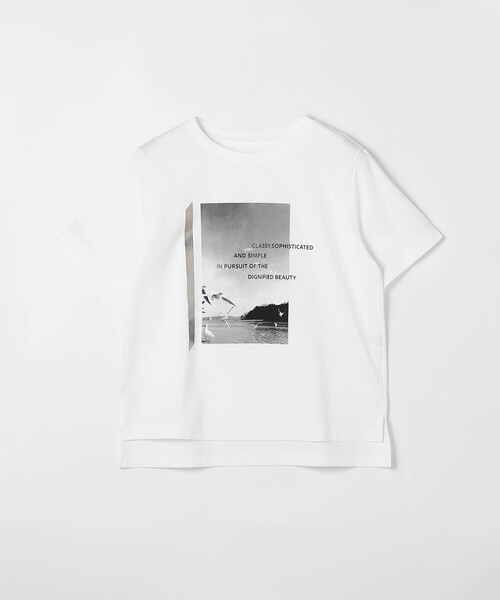 COMME CA(コムサ)の「〔 TALLサイズ 〕 スーピマコットンポンチ Tシャツ(Tシャツ/カットソー・レディース・ネイビー/ホワイト・15号)」の19枚目の写真