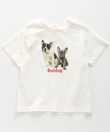 BREEZE | /5柄フォトＴシャツ(Tシャツ/カットソー)
