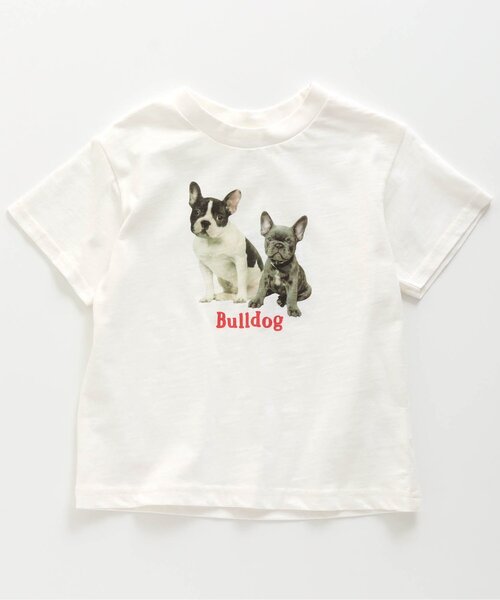 BREEZE（ブリーズ）の「/5柄フォトＴシャツ（Tシャツ/カットソー・キッズ・イエロー/オフホワイト/ピンク/ブラウン/ミント・100/120/130/110/90/150/140）」の2枚目の写真
